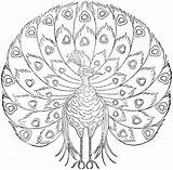 Peacock Coloring Pages Printable Print Embroidery Kids Peacocks Patterns Color Designs Vintage Hand Getcolorings Bestcoloringpagesforkids Books Quilting Pdf Transfers Choose sketch template