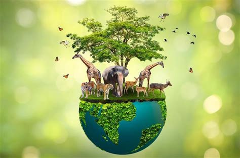 wildlife conservation crucial   sustainable future