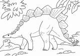 Stegosaurus Coloring Dinosaur Pages Prehistoric Kids Fascinating Adults Choose Board sketch template