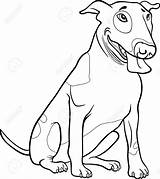 Bull Terrier Coloring Vector Dog Book 98kb 1300px 1154 Drawings Vectorstock Similar sketch template