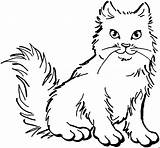 Katzen Katze Ausmalbild Malvorlage Pies Malowanki Tiervorlagen Ausgestopftes Tier Fur sketch template
