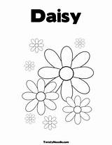 Coloring Daisy Pages Twisty Noodle Printable Writing Getcolorings Hand Print Color sketch template