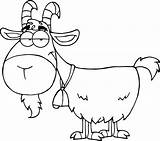Goat Drawing Nubian Goats Getdrawings sketch template