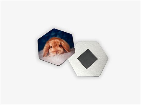 hexagon magnet color  professional photo printing