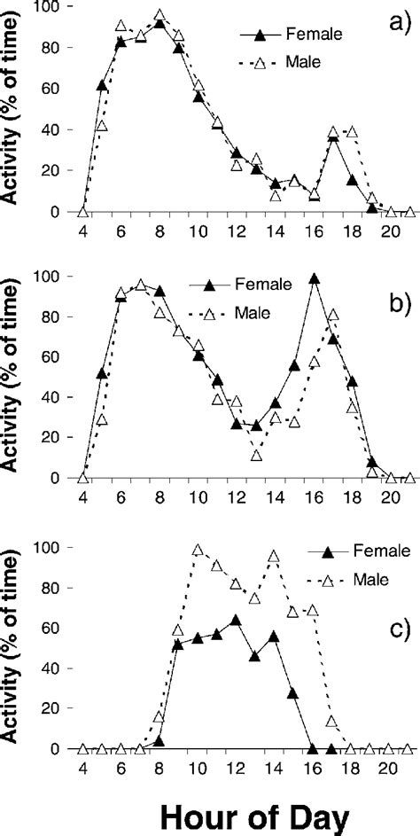 Activity Patterns Of Adult Female And Male Mexican Fox Squirrels