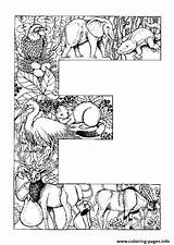 Coloring Letter Alphabet Animal Pages Printable sketch template