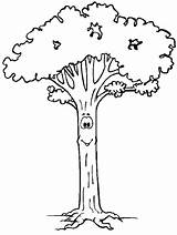 Tree Coloring Trees Pages Kids Color Cute Gif Face Children Long sketch template
