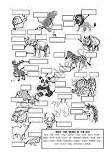 Body Parts Animal Worksheet Worksheets Animals Preview sketch template