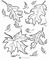 Coloring Pages Niagara Falls Getdrawings Autumn sketch template