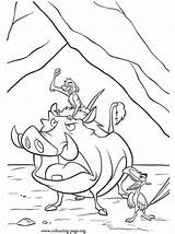 Coloring Timon Pumbaa Pages Lion King Popular Zazu sketch template
