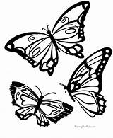 Coloring Butterfly Printable Printables Sheets Pages Butterflies Popular Animal Animals sketch template