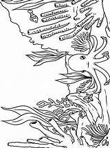 Korallenriff Koraal Rif Kleurplaat Malvorlage Stimmen Ausmalbild sketch template