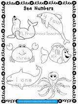 Animals Worksheets Tracing Sea Ocean Esl sketch template