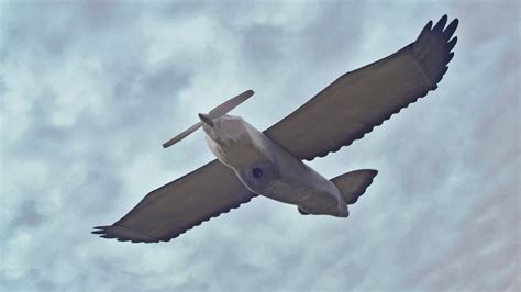 oklahomas quest  dominate  american drone fast company