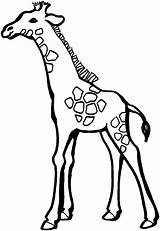 Giraffe Coloring Pages Printable Kids Giraffes sketch template