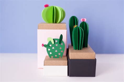 Cactus Fai Da Te Idee Super Creative Per Te