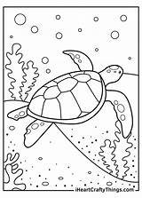 Turtle Print Iheartcraftythings Crafty sketch template