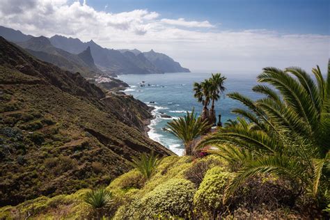common misconceptions   canary islands