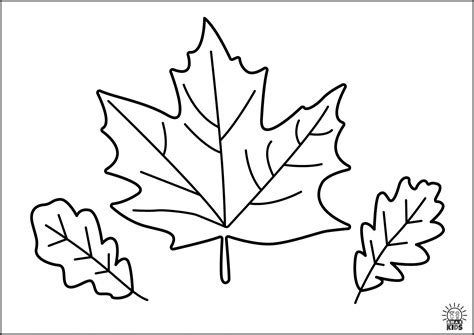 printable autumn coloring pages  kids amax kids