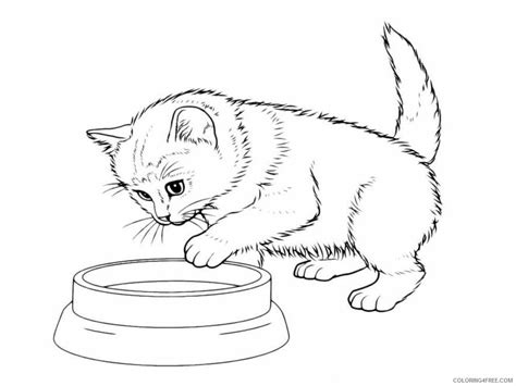 coloring pages cute cat coloring pages