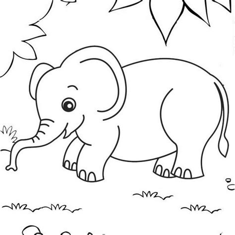 top ten cute  simple elephant coloring pages mitraland