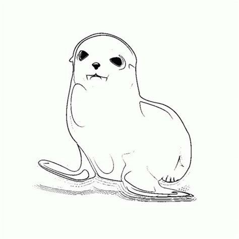cute baby seal coloring page coloring sky