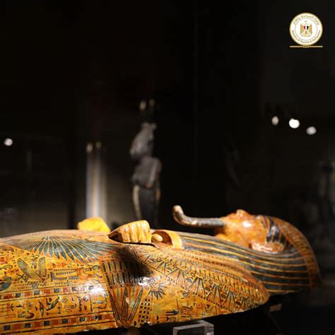 pics sarcophagi exhibited   st time   egyptian museum
