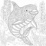 Coloring Pages Ocean Life Adult Adults Sea Underwater Print Printable Drawing Dolphin Sheets Animals Zentangle Animal Book Getdrawings Color Stress sketch template