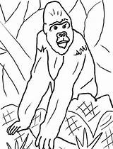Gorilla Coloring Kids Pages Animales Colorear Para Popular Library Clipart sketch template
