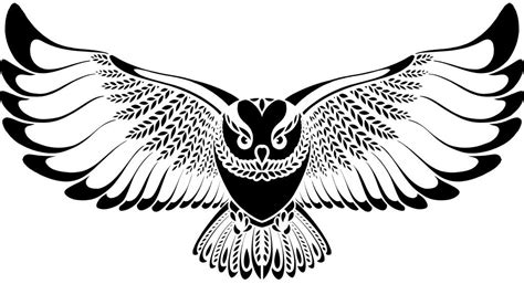 flying owl drawing  getdrawings