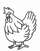 Coloring Hen Farm Animal sketch template