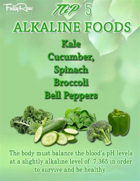top 5 alkaline foods cancer fighting smoothies alkaline foods healthy