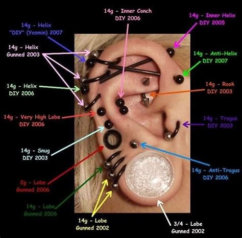 Pin By Astroboi On PĮercings Ear Piercing Diagram Piercing Chart