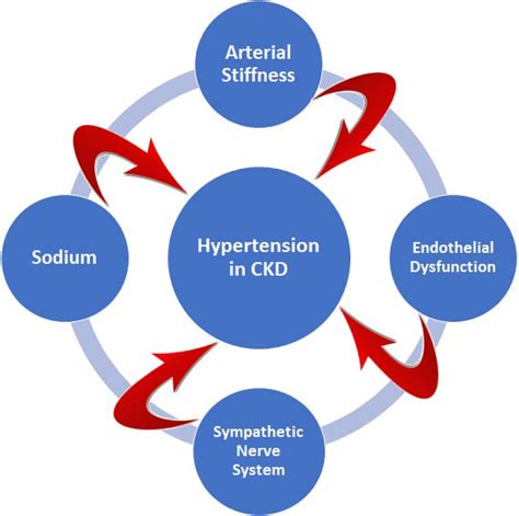 factors   hypertension  patients  ckd