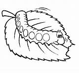 Caterpillar Hungry Clipart Cliparts Outline Coloring Pages Printables Clip Very Clipartpanda Kids Powerpoint Library Panda Presentations Projects Use Websites Reports sketch template
