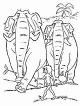 Mowgli Colorare Disegni Jungle Giungla Colorear Kleurplaat Selva Hathi Coloring Elephants Baloo Mogli Dibujos Colorat Kleurplaten Elefantes Planse Elefantii Dschungelbuch sketch template