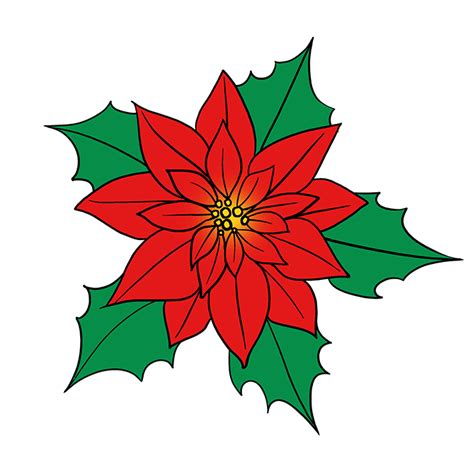 simple poinsettia coloring page  coloring