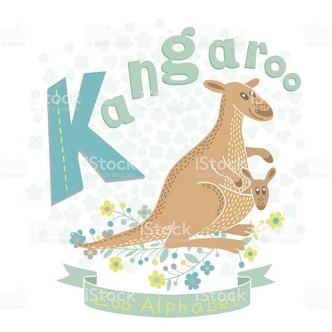 letter  kangaroo alphabet  cute animals vector illustration