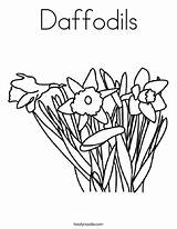 Daffodils Colorir Pintarcolorir Desenhos Noodle sketch template