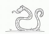 Coloring Anaconda Pages Popular sketch template