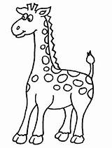 Salvajes Giraffe sketch template