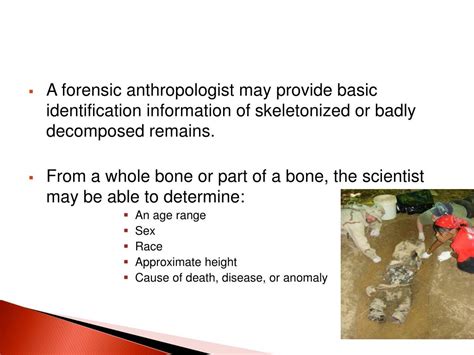 Ppt Forensic Archaeology Anthropology Ch 8 – Pgs 99 117 Powerpoint
