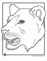 Coloring Lion Pages Face Lioness African Sheet Animal Template Gif Popular sketch template