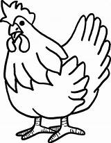 Chicken Coloring Pages Cute Animal sketch template