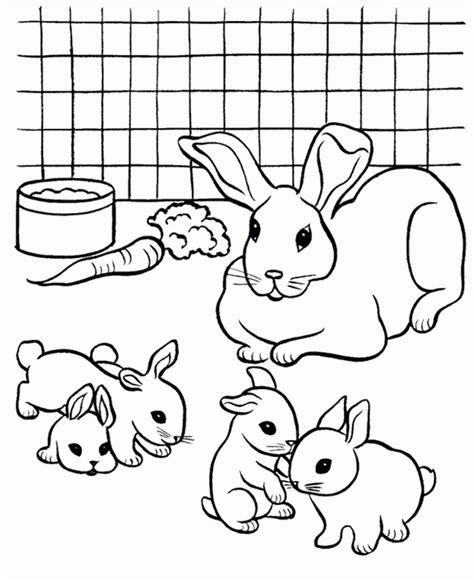pet  rabbit colouring pages coloring home