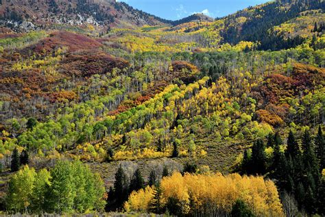Fall Colors Near Mcclure Pass Photograph By Ray Mathis Fine Art America