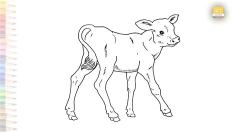 baby  drawing easy  drawing tutorials   draw  calf step