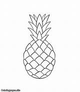 Pineapple Fruits Name sketch template