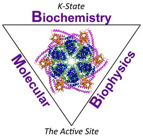biochemistry  molecular biophysics active site news