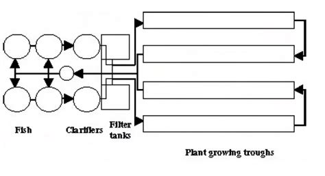 uvi aquaponics system